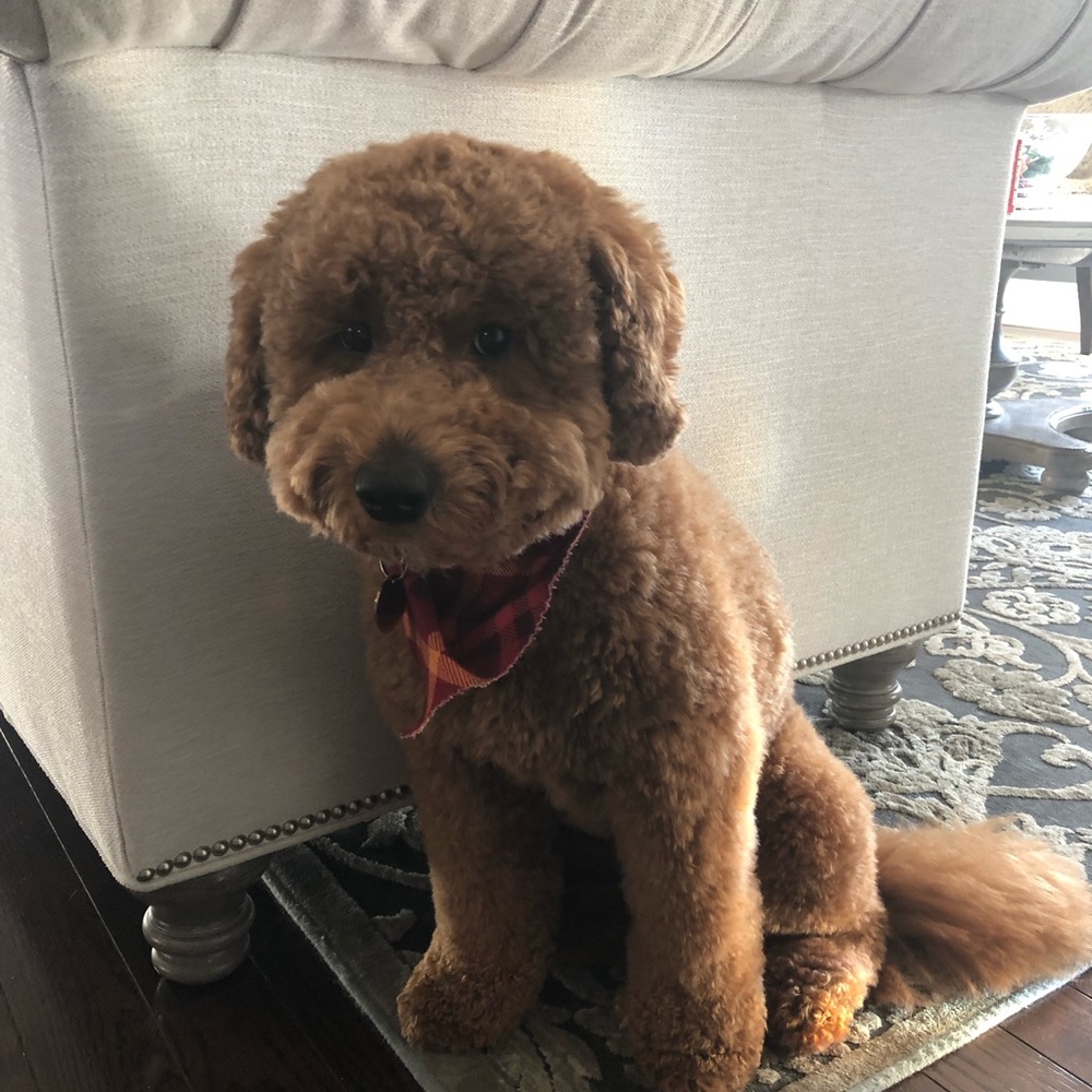 Meet your Posher, Christie